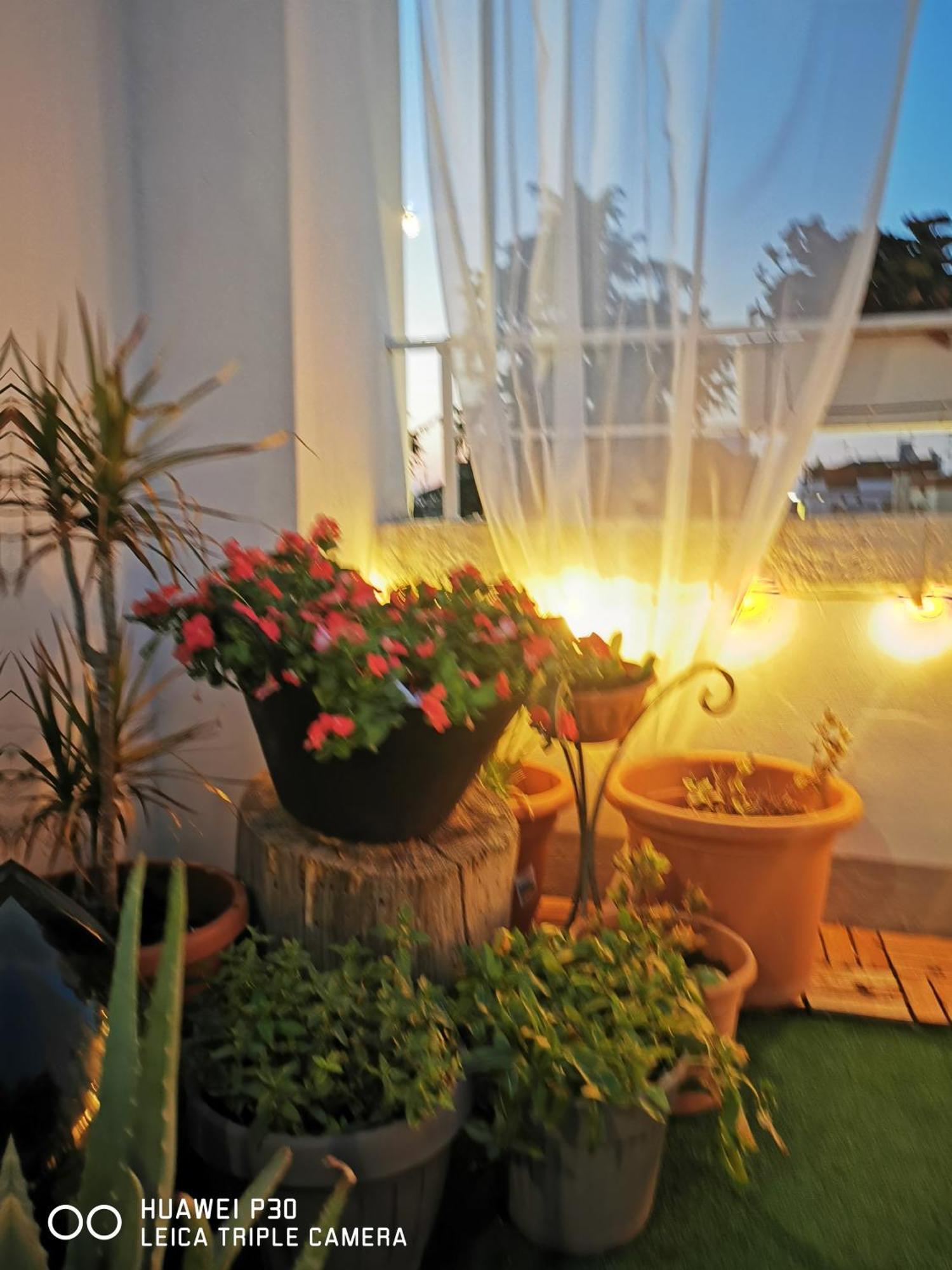 Sfumature Di Puglia Lejlighed Turi Eksteriør billede